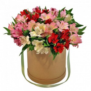 Коробка цилиндр с цветами "Бодрость"